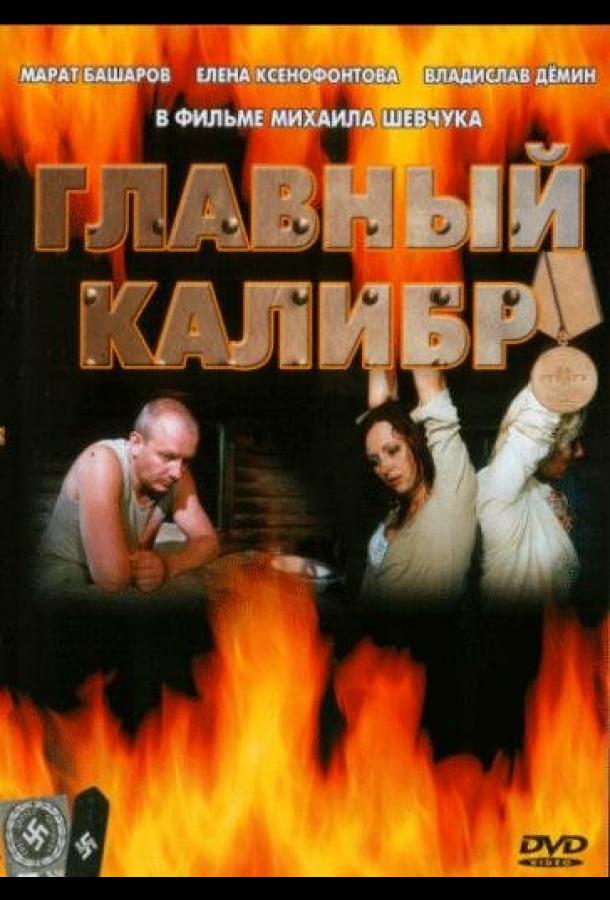 Главный калибр (2006)