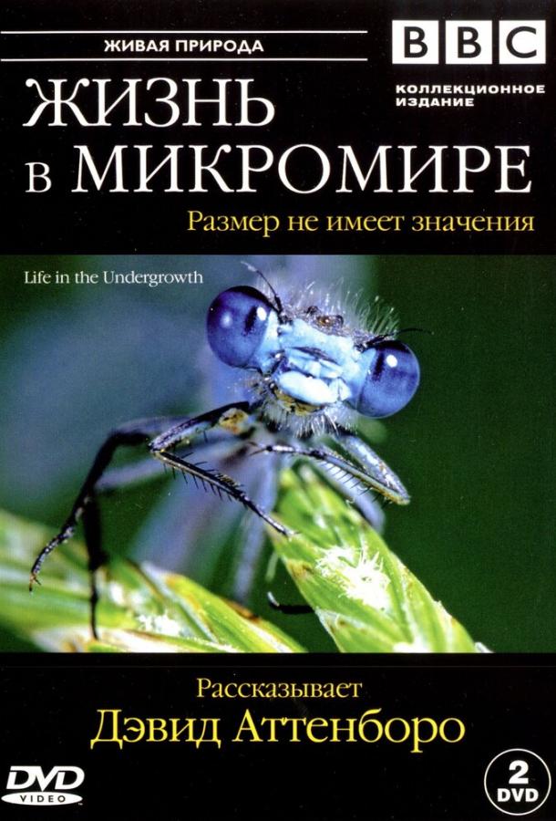 BBC: Жизнь в микромире (2005)