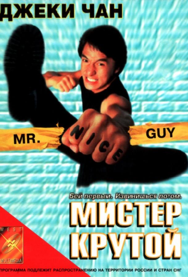 Мистер Крутой (1996)